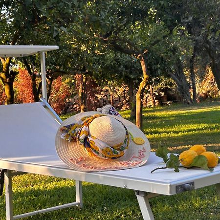 Lemon Factor Sorrento住宿加早餐旅馆 外观 照片
