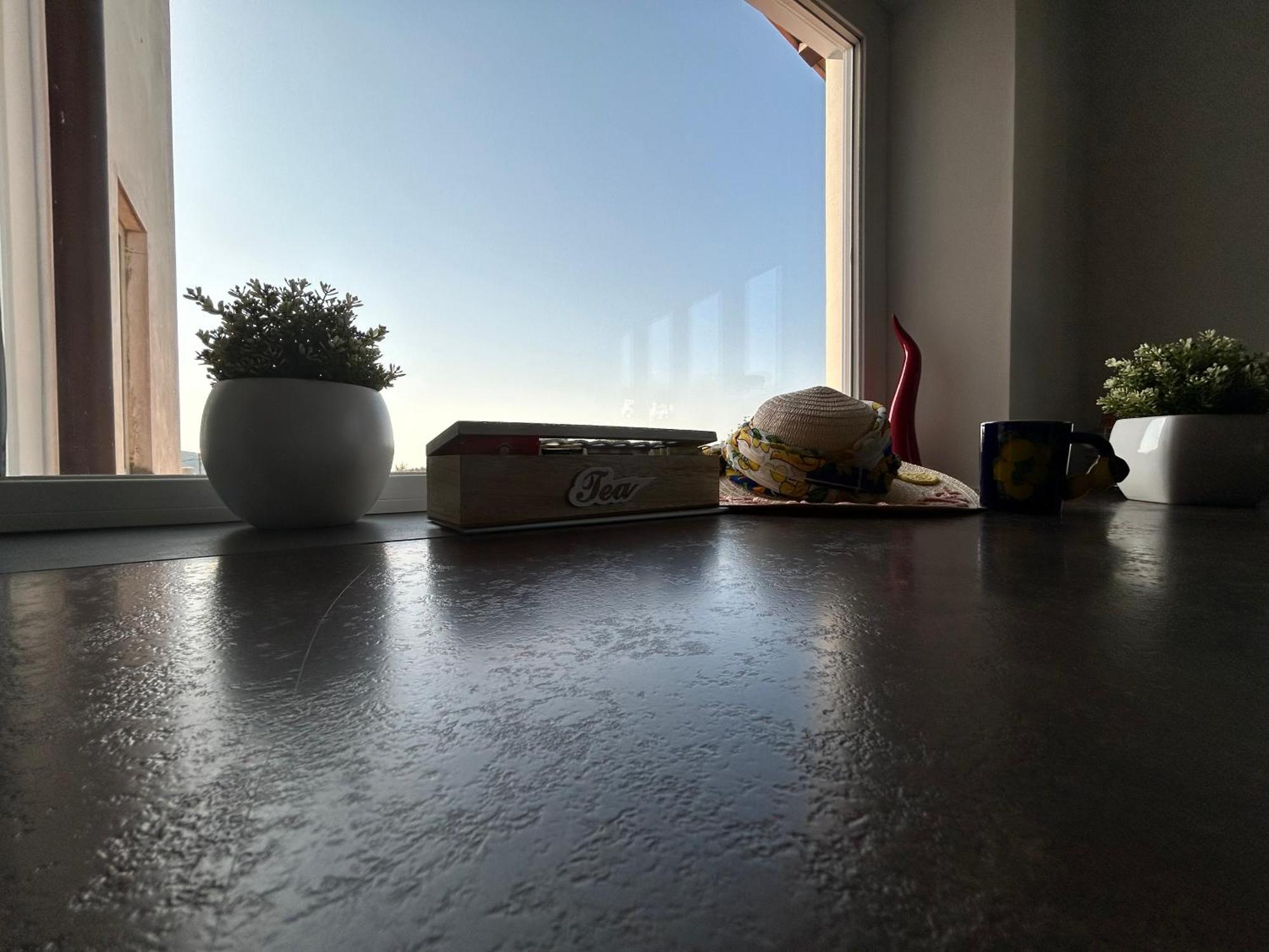 Lemon Factor Sorrento住宿加早餐旅馆 外观 照片