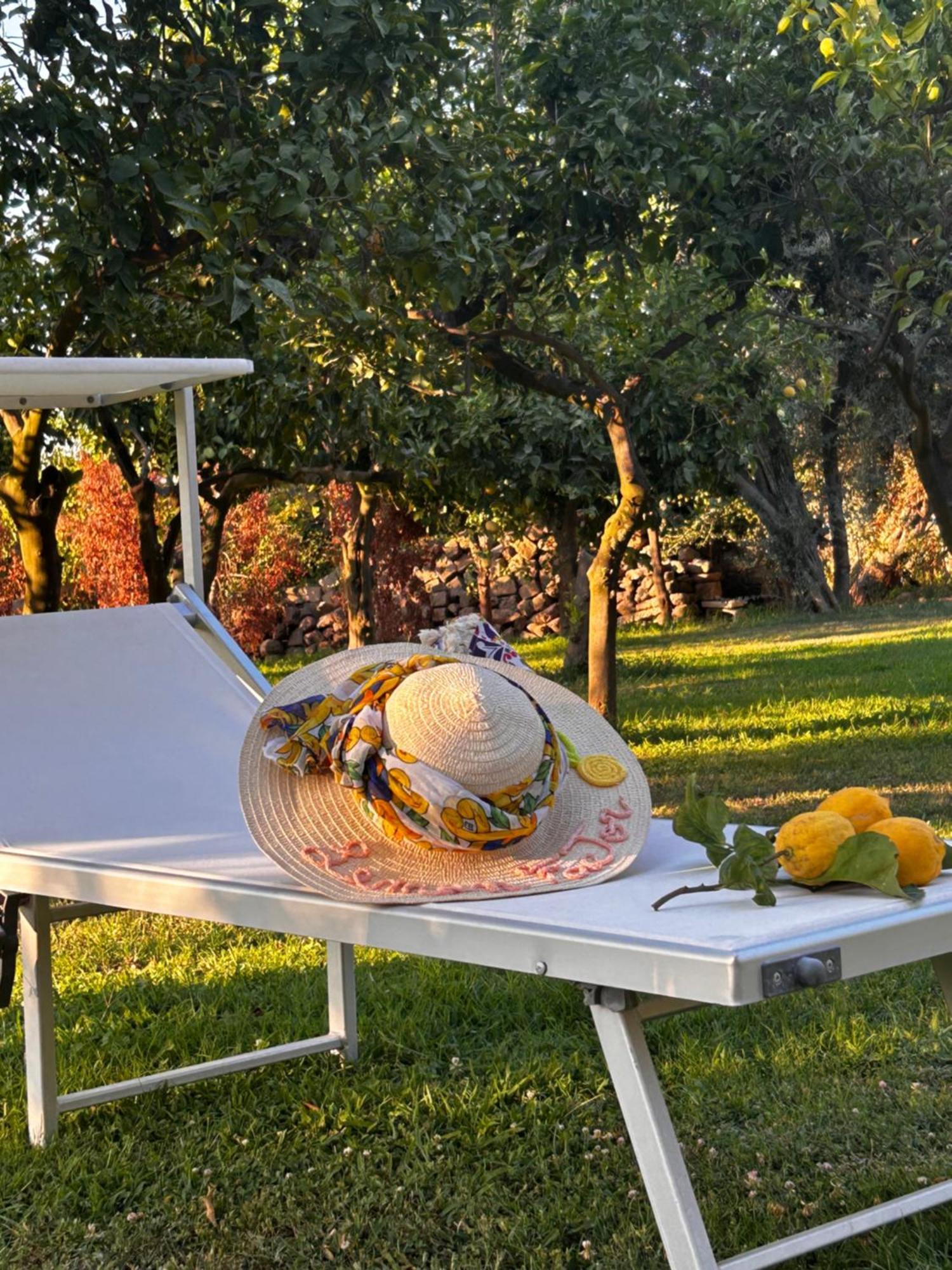 Lemon Factor Sorrento住宿加早餐旅馆 外观 照片